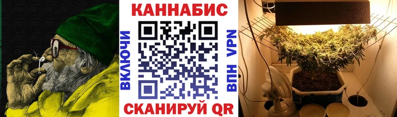 Бошки Шишки MAZAR  Купить закладки  Багратионовск 